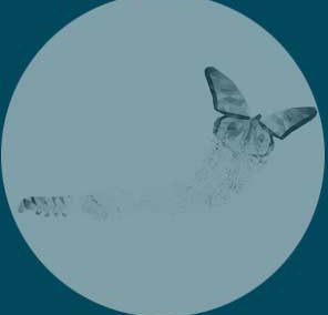 Agilité et Transformation