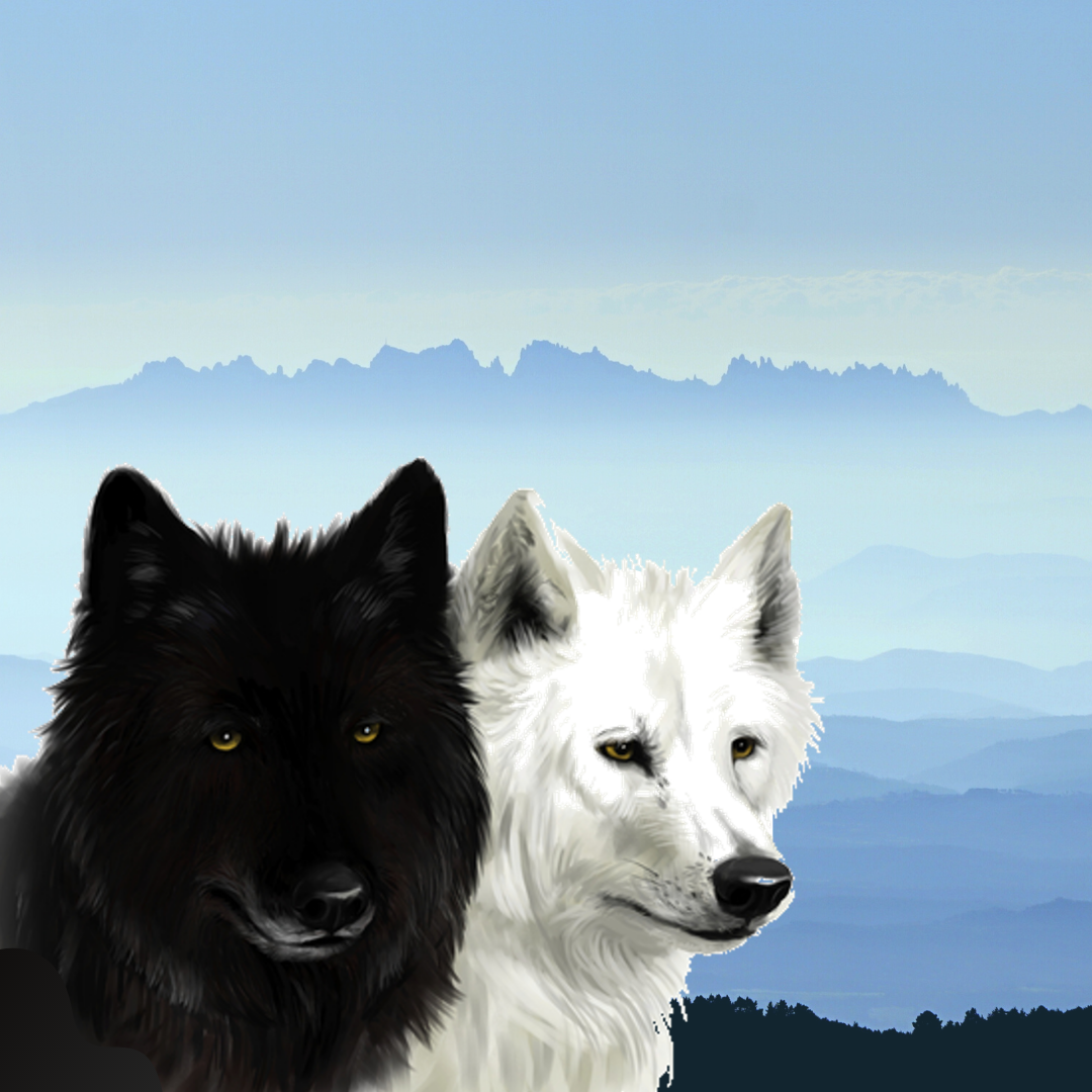 conte amerindien : les deux loups